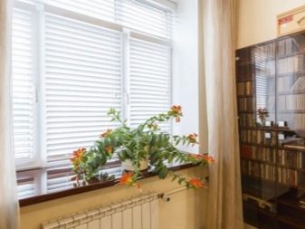 Высота подоконника от пола: стандарты и нормы, стандартное расстояние в частном доме Высота подоконника от пола: стандарты и нормы, стандартное расстояние в частном доме