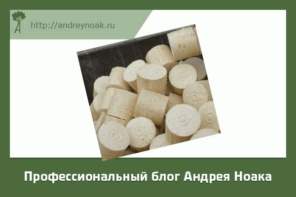 Брикеты из листьев своими руками: необходимое оборудование, этапы производства и преимущества использования Брикеты из листьев своими руками: необходимое оборудование, этапы производства и преимущества использования