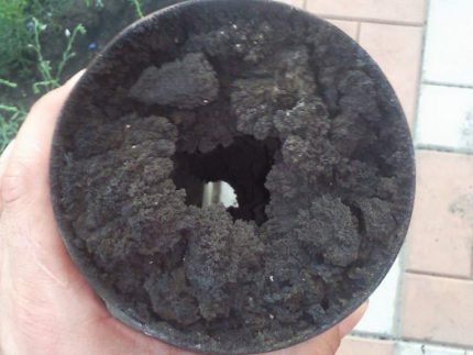 crok_slugbi_cotla10-430x323.jpg