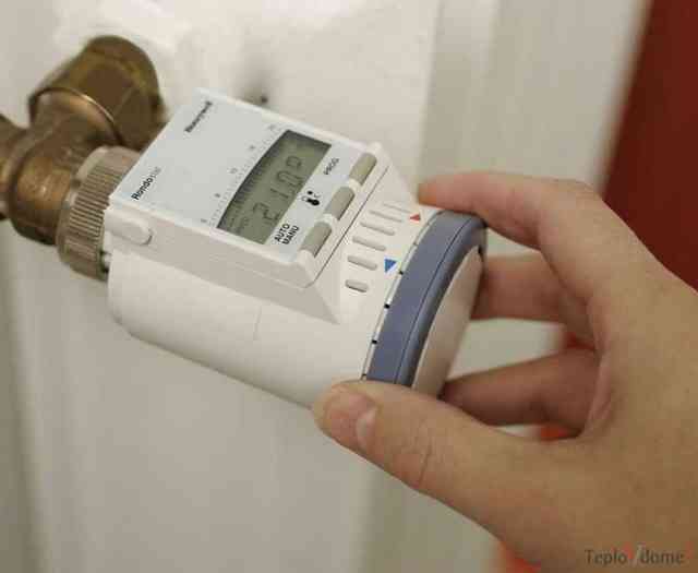 avto-kot-gaz-4-e1481459510147_0.jpg