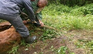 Чистка скважины своими руками - как это сделать правильно