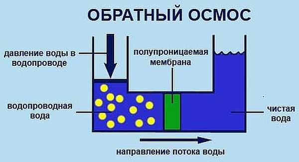 Фильтр грубой очистки воды: как выбрать лучший, виды и обзор производителей Принцип работы системы обратного осмоса: очищает воду специальная мембрана
