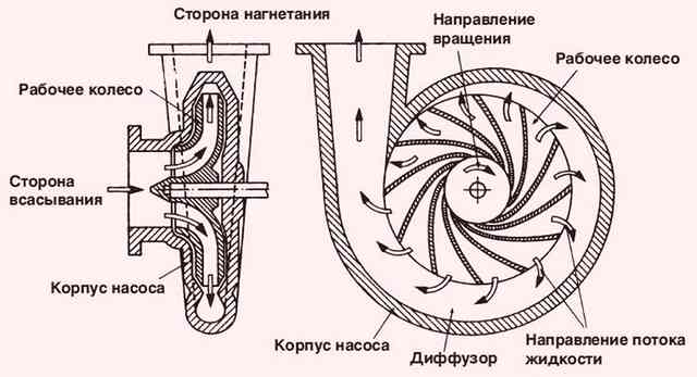 Центробежный насос: устройство и принцип действия, схема и классификация Принцип действия самовсасывающего насоса