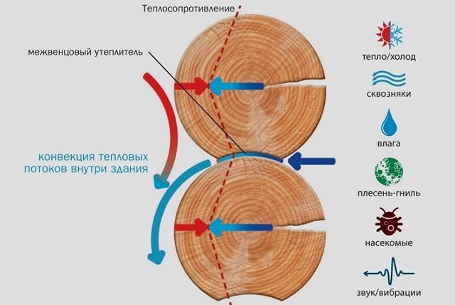 Схематично - к чему приводит некачественное утепление сруба