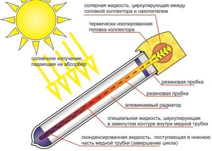 Устройство вакуумной трубки солнечного коллектора Термотрубка солнечного коллектора