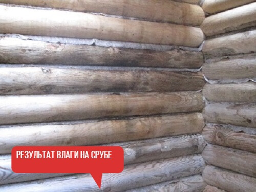 Джут — что это за материал и из чего делают: описание, свойства