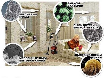 Плюсы использования очистителя воздуха в квартире Создание комфортных условий