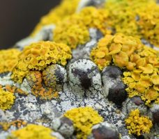 Как избавиться от запаха сырости в жилище: способы борьбы, фото примеры и видео инструкции Как избавиться от запаха сырости в жилище: способы борьбы, фото примеры и видео инструкции