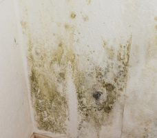 Как избавиться от запаха сырости в жилище: способы борьбы, фото примеры и видео инструкции Как избавиться от запаха сырости в жилище: способы борьбы, фото примеры и видео инструкции