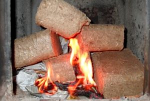 Брикеты из листьев своими руками: необходимое оборудование, этапы производства и преимущества использования Брикеты из листьев своими руками: необходимое оборудование, этапы производства и преимущества использования