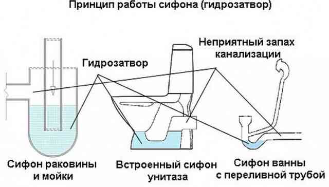 Гидрозатвор для канализации: виды, как работает, схемы установки