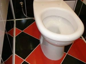 установка унитаза в частном доме своими руками пошаговая инструкция
