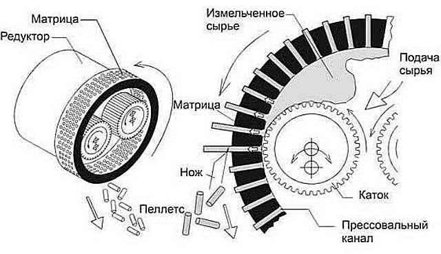 Примерная схема прессования пеллет через цилиндрическую матрицу