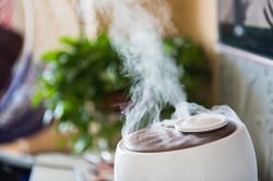 Как выбрать увлажнитель воздуха для квартиры: параметры и советы по необходимым функциям Как выбрать увлажнитель воздуха для квартиры: параметры и советы по необходимым функциям
