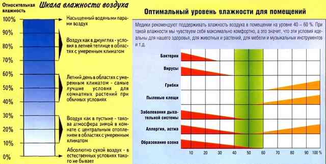 Рекомендации по использованию увлажнителя воздуха Влияние влажности на негативные процессы