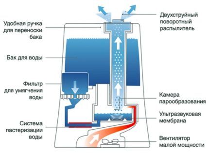 Схема ультразвукового устройства Схема ультразвукового устройства