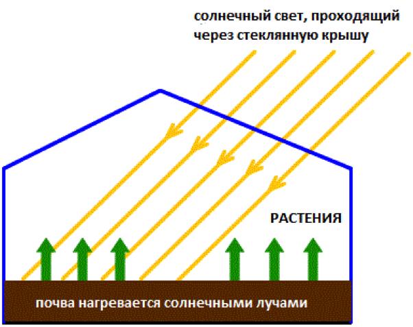 fed5d4b7d821c4bab555da1e3199f19f.jpg