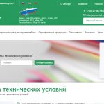 Разработка технических условий