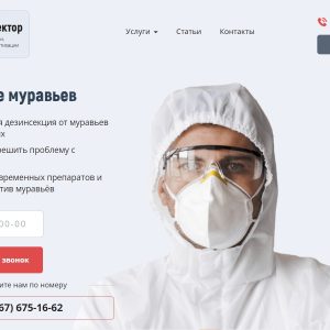 Обработка от муравьев