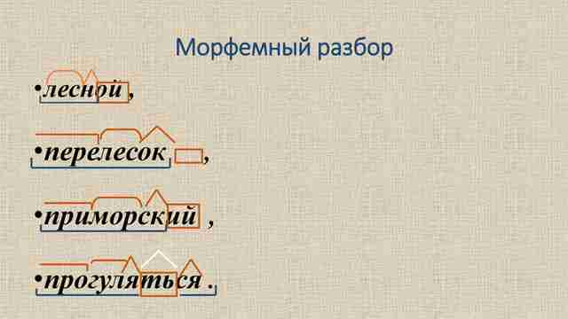 Тайны слов: Как устроен морфемный разбор и почему это важно для лингвистики